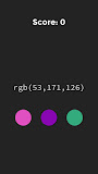 RGB Infinite Guessing Design Game: Guess