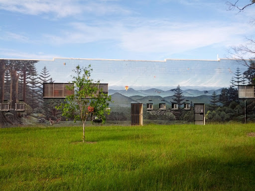Landscape Mural
