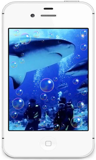 Free Shark HD live wallpaper