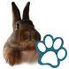 Rabbits