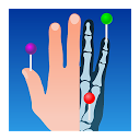 IMAIOS e-Anatomy mobile app icon