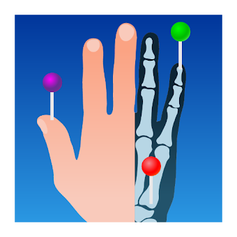 e-Anatomy APKs for PC