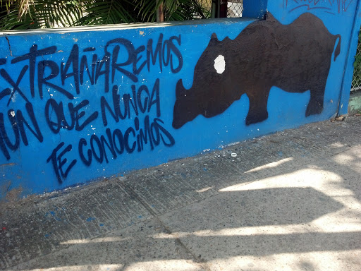 Rhino Extintion Graffitti