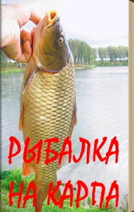 Рыбалка на карпа Screenshots 0