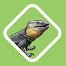 Garajonay Parque Nacional Application icon