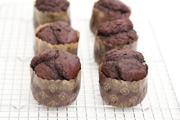Best Chocolate Muffins