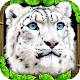 Snow Leopard Simulator