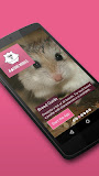 Guinea Pigs and Hamsters 2 PRO