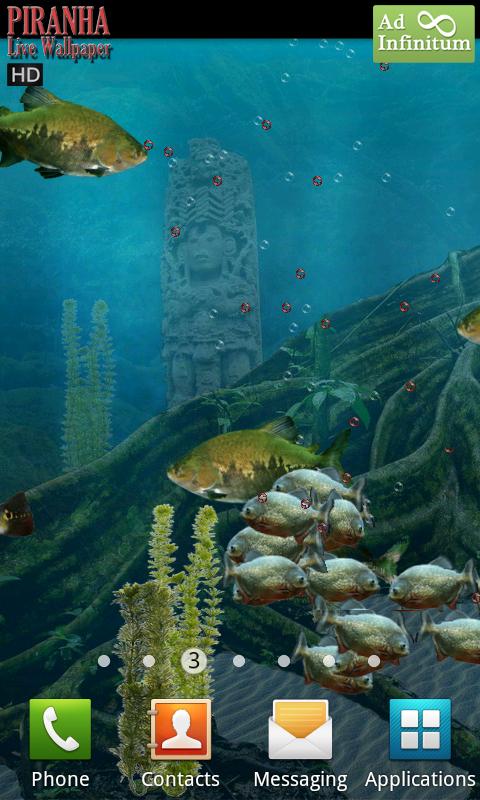 Piranha Live Wallpaper HD Screen 3