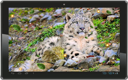 【免費個人化App】Snow Leopard Sounds HD LWP-APP點子