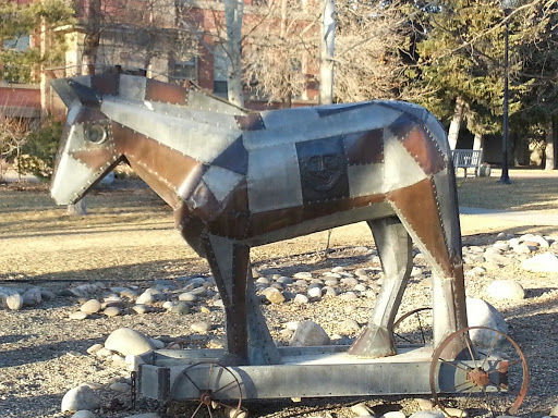 RMC - Iron Clad Horse