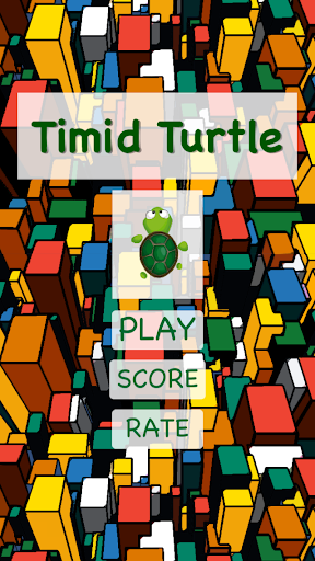 Timid Turtle