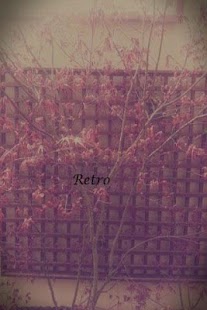 How to install Camera Filter Free 1.04 apk for pc
