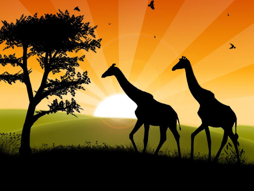 Safari Free Puzzles