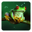 Frog Sounds icon