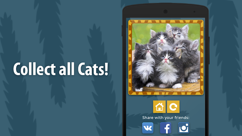 Face scanner: What cat 2 Screen 2