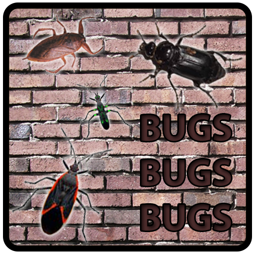 Bugs LOGO-APP點子