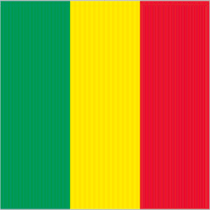 Mali Facts 1.0