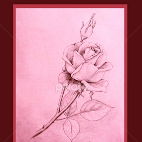 by Ingrid Anderson-Riley - Drawing All Drawing