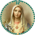 Touch Rosary icon