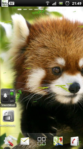 免費下載個人化APP|Red Panda Live Wallpaper app開箱文|APP開箱王