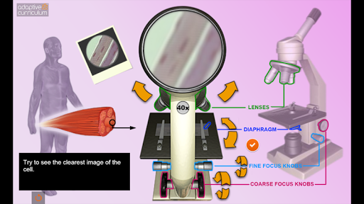 Exploring Cells Microscopes