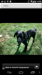 Photo Protector poster 3