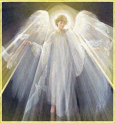 [!cid_011101c6fc22$0a9eba60$6b79fea9@verapinheiros[6].gif]