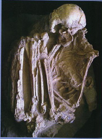 [fosilmanusiapurba5.jpg]