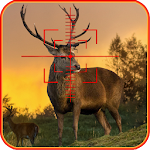 Deer Hunting Quest Apk