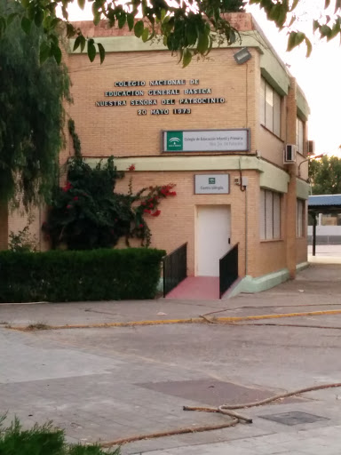 Colegio Nuestra Señora del Patrocinio 