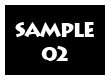 SAMPLE 02