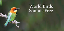 World Birds Sounds Free APK