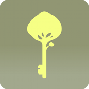 Developpeur mobile