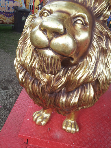 Simba the Golden Lion