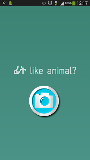 ፊት like animal