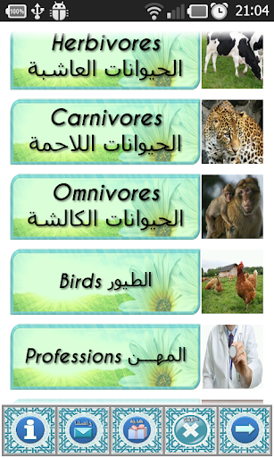 The basics of Arabic language