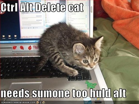 funny-pictures-ctrl-alt-del-kitten