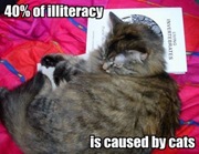 40-of-illiteracy-is-caused-by-cats