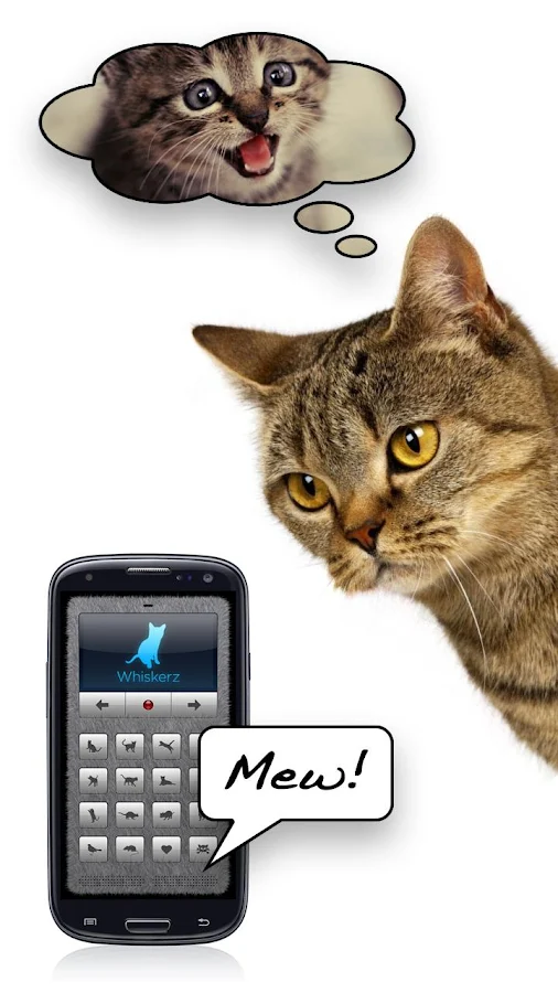 Приложение Переводчик на кошачий на Андроид