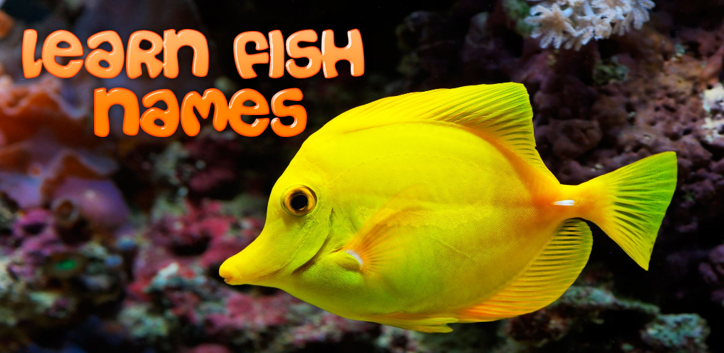 Fish name. Имена для рыбок. Все имена рыбок. Coolest Fish names. Картинки рыб без имен.