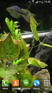 Fish Live Wallpaper HD 2(圖2)-速報App