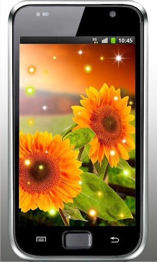 Sunflowers Free live wallpaper