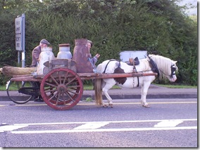 Ireland Summer 2008 007