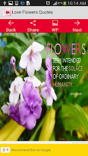 Liebe Blumen Zitate Apps Bei Google Play