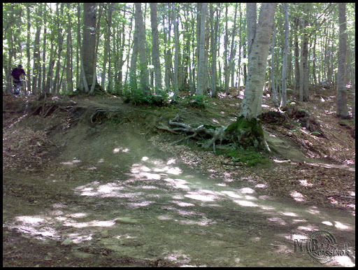 20080706177.jpg