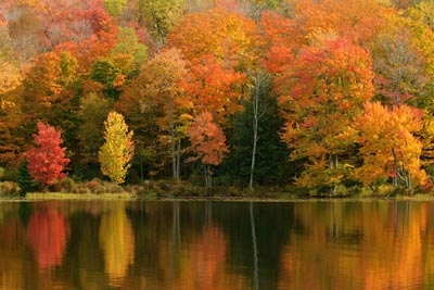 Fall_Foliage_Lake.jpg