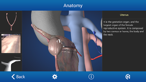 Ovariectomy in Dogs (Free)(圖2)-速報App