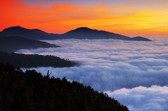 [clip_image002[3].jpg]