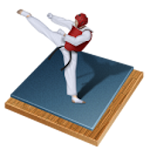 Taekwondo Bible Apk